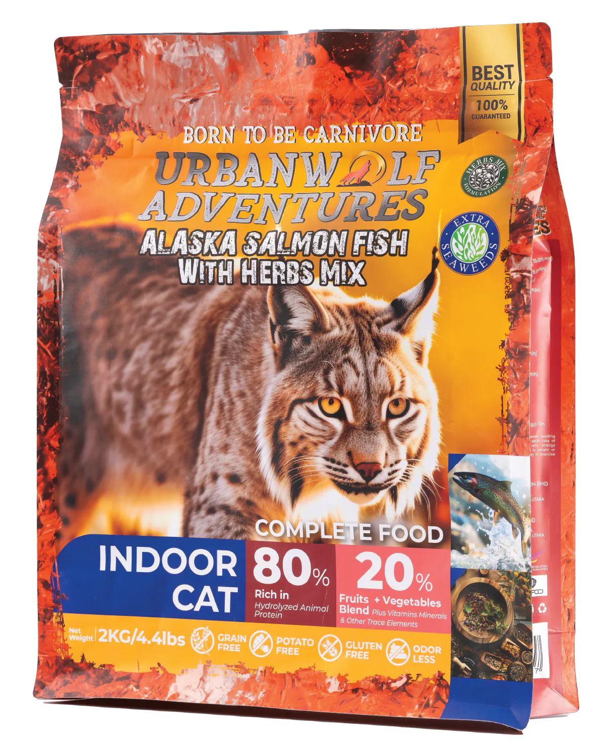 INDOOR CAT